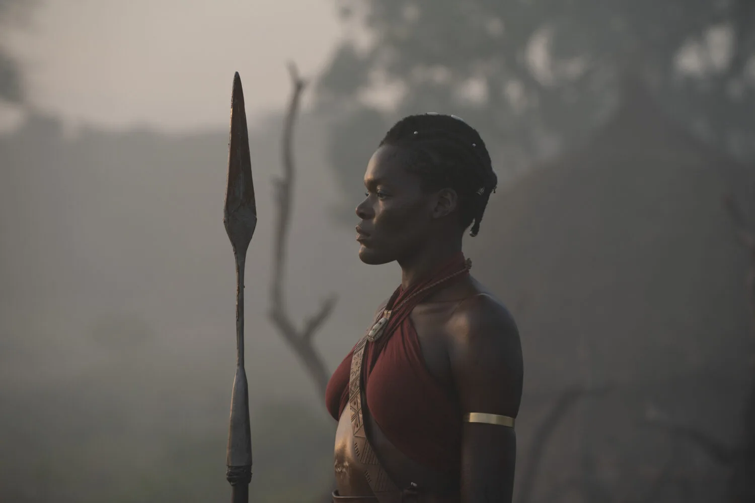A Mulher Rei: novo filme da Viola Davis