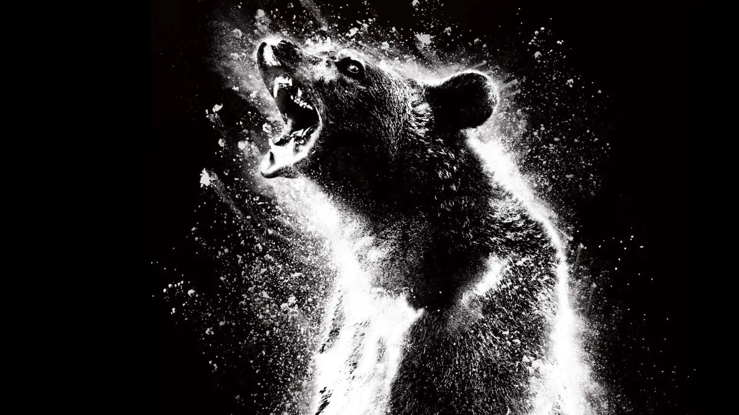O Urso do Pó Branco, filme de 2023